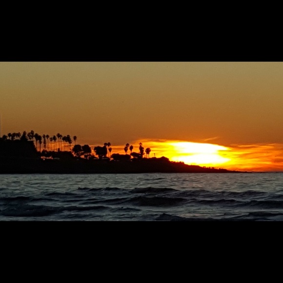 Meet your Posher, Gary - Picture 6 of 8